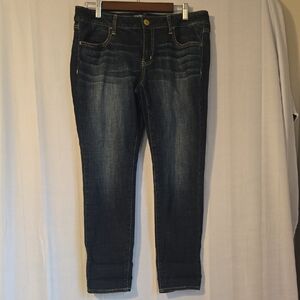 American Eagle Womens Dark Wash Jeggings Jeans Size 12 Short NWOT